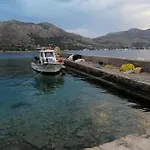 Oasis