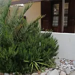 Oasis