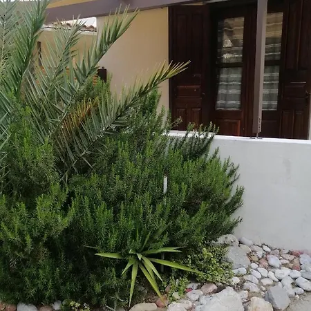 Oasis