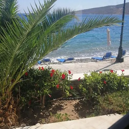 Oasis * Livadia (Tilos)